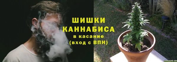 гидропоника Богородицк
