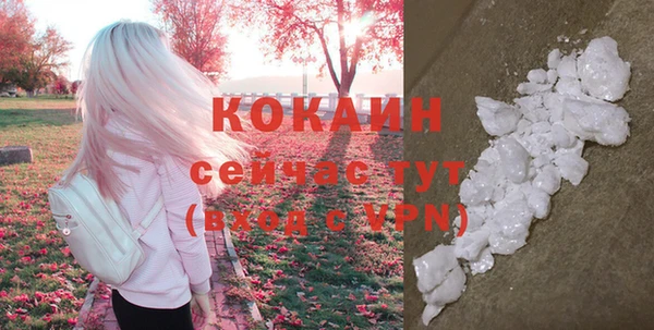 крисы Богданович