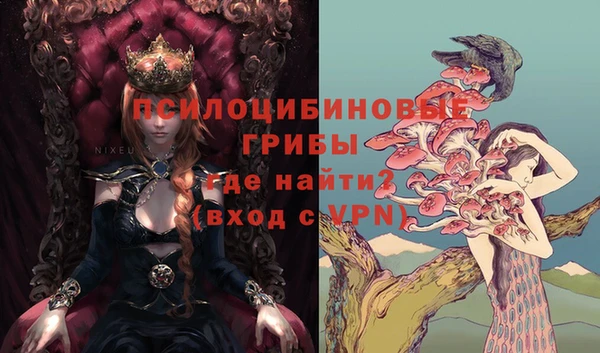 гидропоника Богородицк