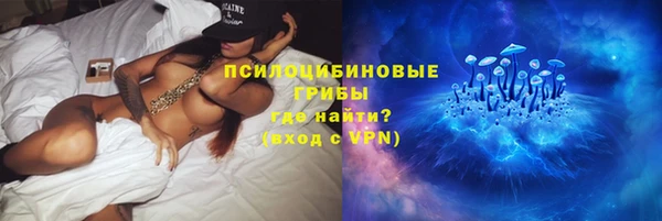 крисы Богданович