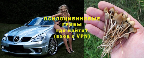 гидропоника Богородицк