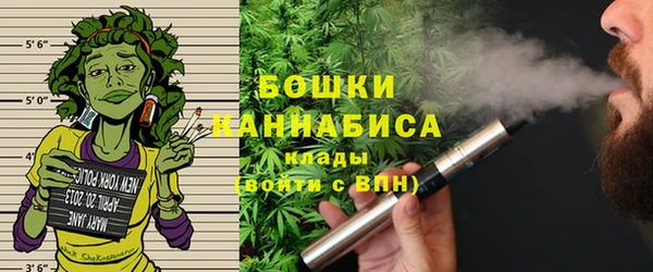 крисы Богданович