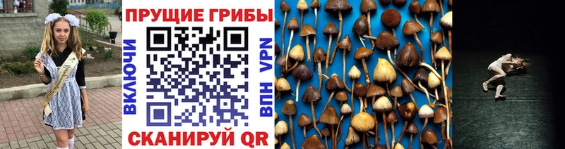 Галлюциногенные грибы мицелий  как найти закладки  Горняк 